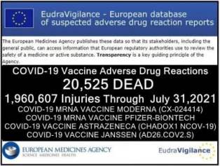 31072021-eudravigilance-deaths-injuries-400x302-1-1